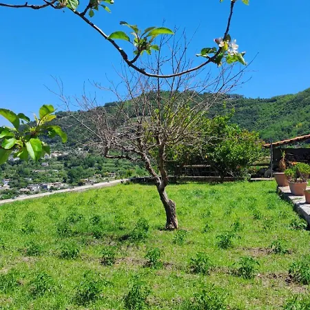 Albachiara Ischia Apartamento *