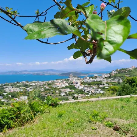 Albachiara Ischia * Barano dʼIschia